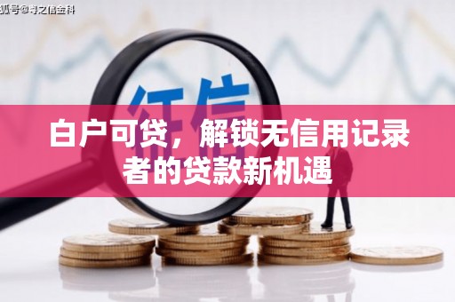 碌曲白户可贷，解锁无信用记录者的贷款新机遇