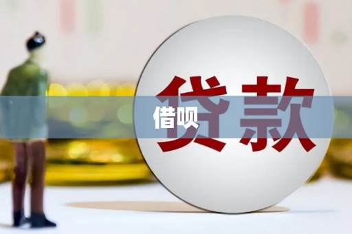 碌曲借呗