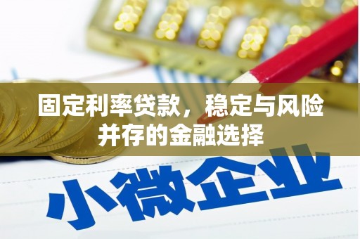碌曲固定利率贷款，稳定与风险并存的金融选择