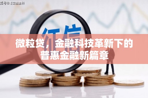 碌曲微粒贷，金融科技革新下的普惠金融新篇章