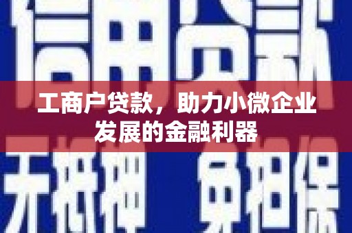 碌曲工商户贷款，助力小微企业发展的金融利器