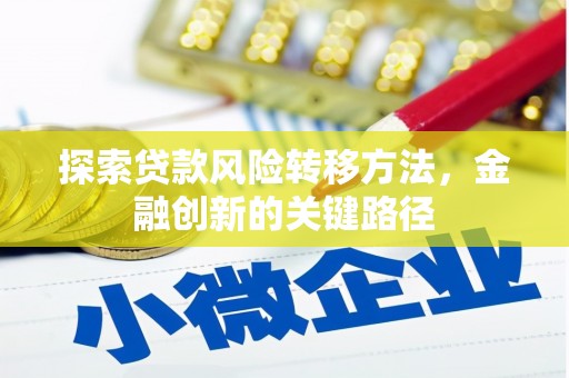 碌曲探索贷款风险转移方法，金融创新的关键路径