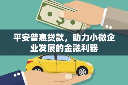 碌曲平安普惠贷款，助力小微企业发展的金融利器