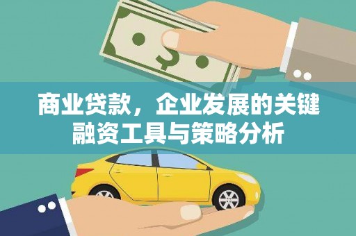 碌曲商业贷款，企业发展的关键融资工具与策略分析