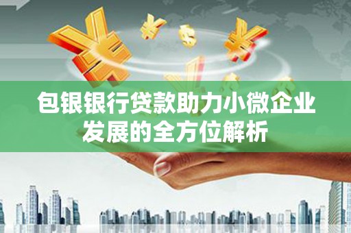 碌曲包银银行贷款助力小微企业发展的全方位解析