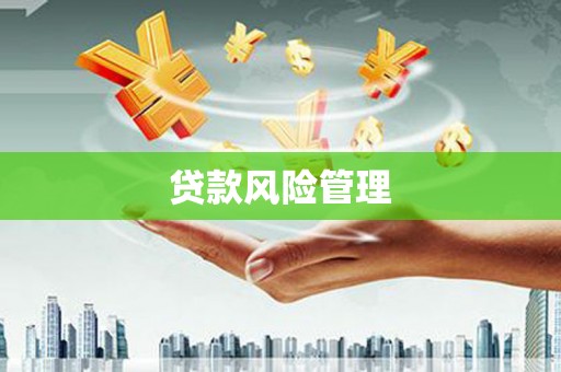 碌曲贷款风险管理