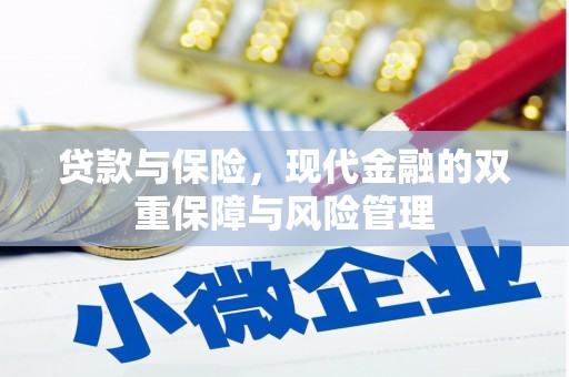 碌曲贷款与保险，现代金融的双重保障与风险管理