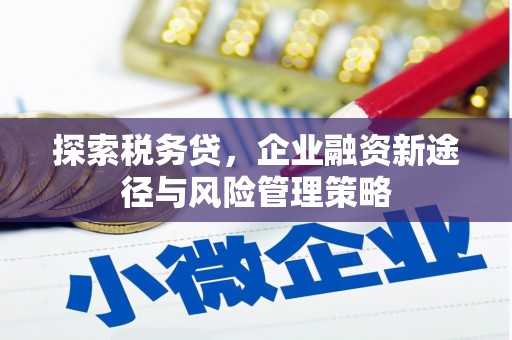 碌曲探索税务贷，企业融资新途径与风险管理策略
