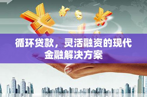 碌曲循环贷款，灵活融资的现代金融解决方案