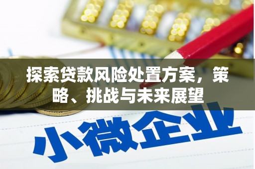 碌曲探索贷款风险处置方案，策略、挑战与未来展望