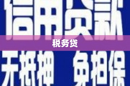 碌曲税务贷
