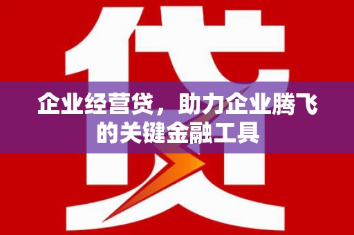 碌曲企业经营贷，助力企业腾飞的关键金融工具