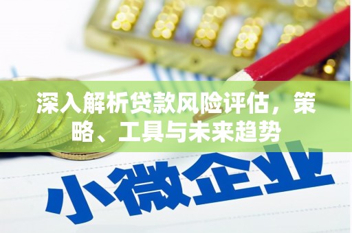 碌曲深入解析贷款风险评估，策略、工具与未来趋势