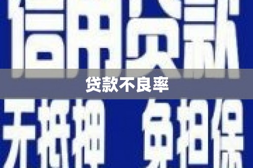碌曲贷款不良率
