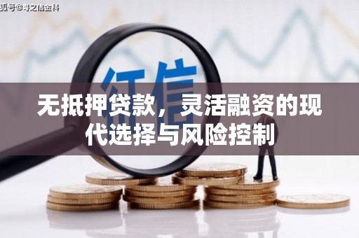碌曲无抵押贷款，灵活融资的现代选择与风险控制