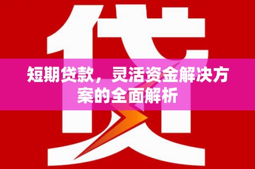 碌曲短期贷款，灵活资金解决方案的全面解析