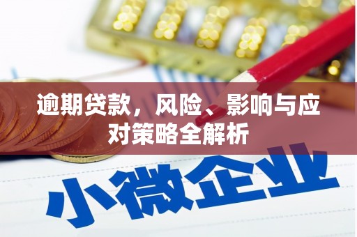 碌曲逾期贷款，风险、影响与应对策略全解析