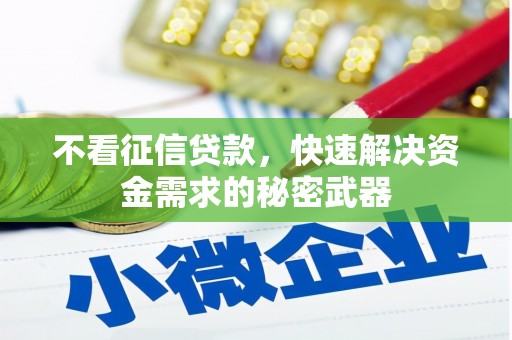 碌曲不看征信贷款，快速解决资金需求的秘密武器