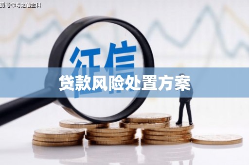 碌曲贷款风险处置方案