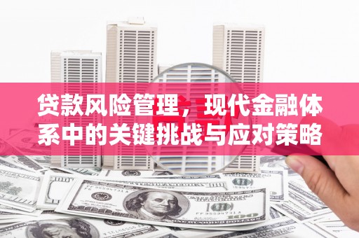 碌曲贷款风险管理，现代金融体系中的关键挑战与应对策略