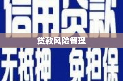 碌曲贷款风险管理