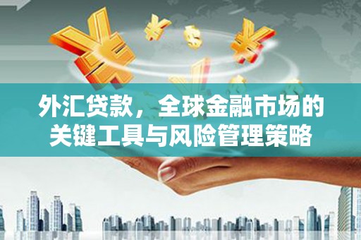 碌曲外汇贷款，全球金融市场的关键工具与风险管理策略