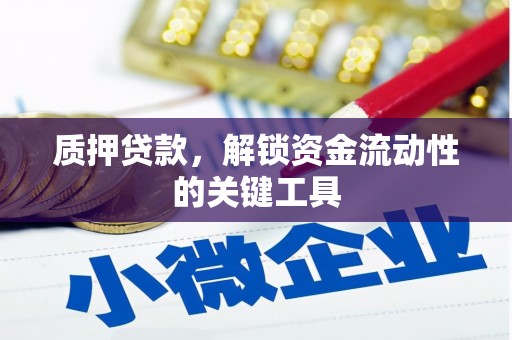 碌曲质押贷款，解锁资金流动性的关键工具