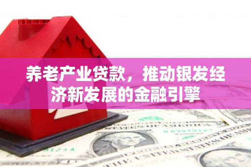 碌曲养老产业贷款，推动银发经济新发展的金融引擎