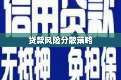 碌曲贷款风险分散策略