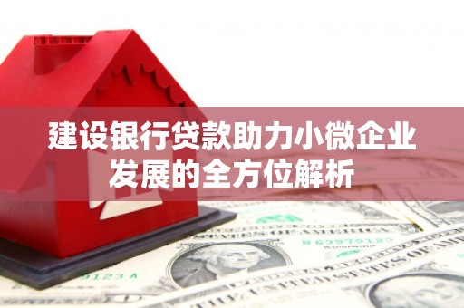 碌曲建设银行贷款助力小微企业发展的全方位解析