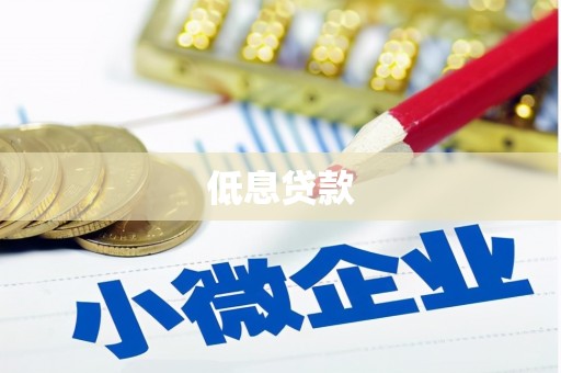 碌曲低息贷款