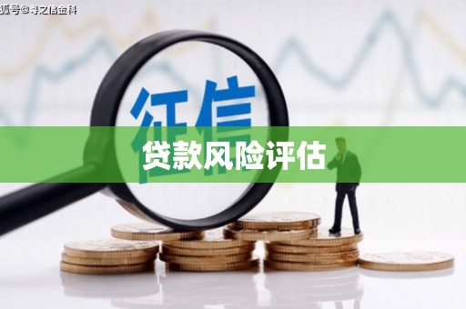碌曲贷款风险评估