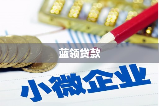 碌曲蓝领贷款
