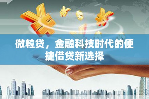 碌曲微粒贷，金融科技时代的便捷借贷新选择