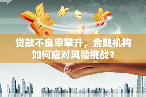 碌曲贷款不良率攀升，金融机构如何应对风险挑战？