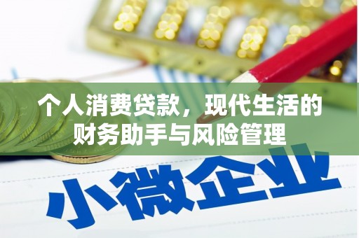 碌曲个人消费贷款，现代生活的财务助手与风险管理