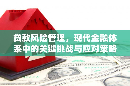 碌曲贷款风险管理，现代金融体系中的关键挑战与应对策略