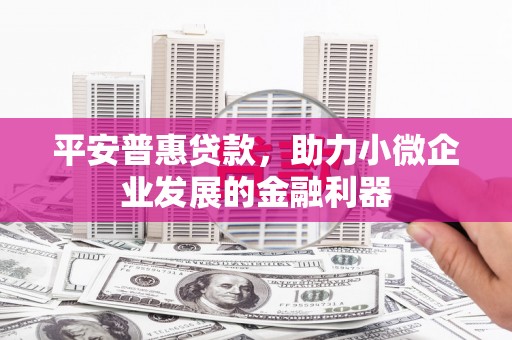 碌曲平安普惠贷款，助力小微企业发展的金融利器