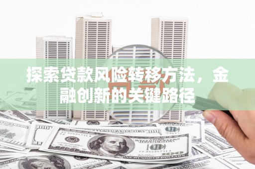 碌曲探索贷款风险转移方法，金融创新的关键路径