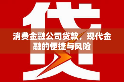 碌曲消费金融公司贷款，现代金融的便捷与风险