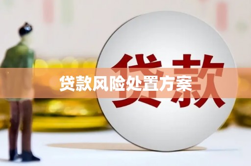 碌曲贷款风险处置方案