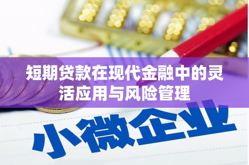 碌曲短期贷款在现代金融中的灵活应用与风险管理