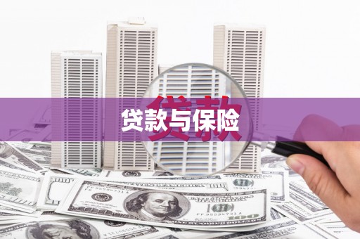 碌曲贷款与保险