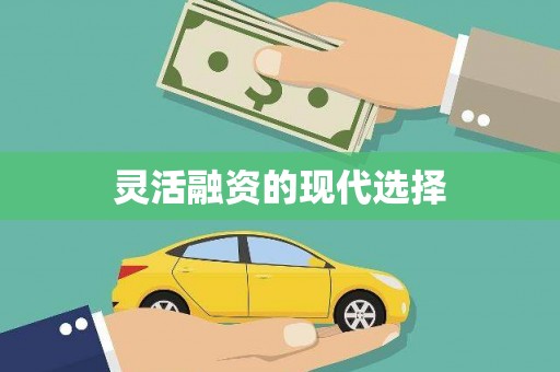 碌曲灵活融资的现代选择