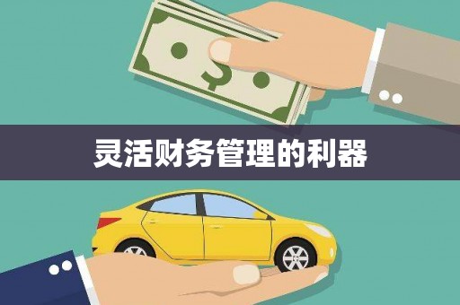 碌曲灵活财务管理的利器