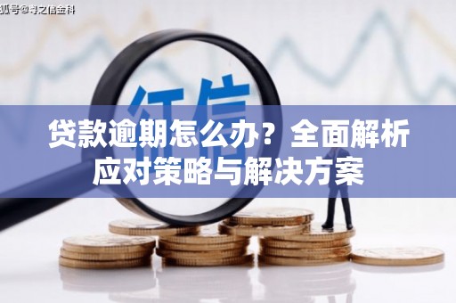 碌曲贷款逾期怎么办？全面解析应对策略与解决方案