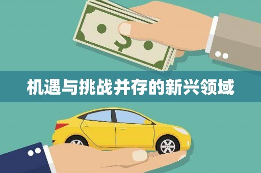 碌曲机遇与挑战并存的新兴领域