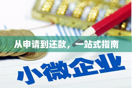 碌曲从申请到还款，一站式指南