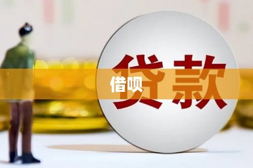 碌曲借呗