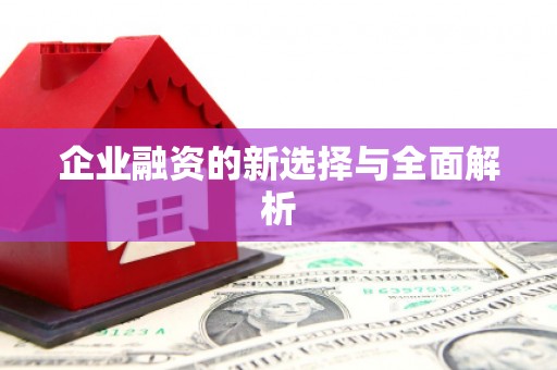 碌曲企业融资的新选择与全面解析